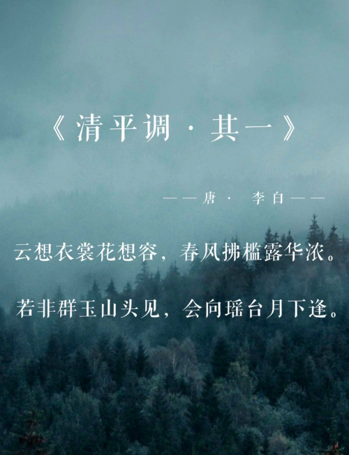 花想容花想容，绽放的美丽与诗意-第2张图片