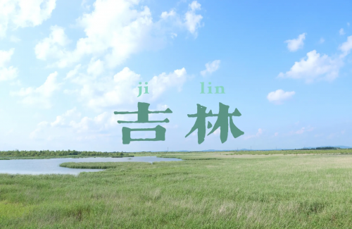 小草CC的博客，探索自然之美-第2张图片