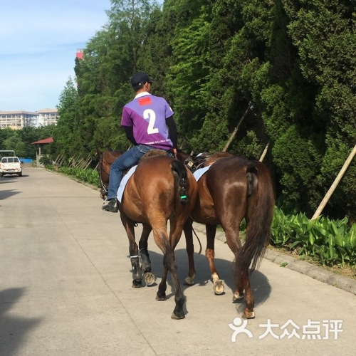 2018马会免费资料大全2018马会免费资料大全-第3张图片