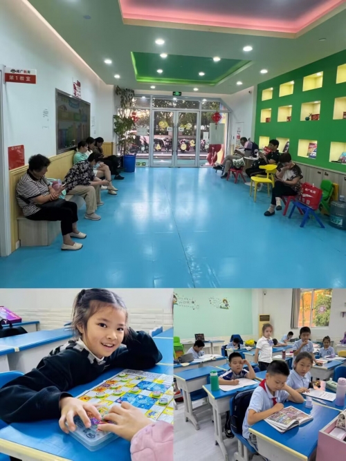 互动作业互动作业，构建高效学习环境的创新实践