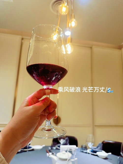 澳门新葡萄新京8883not澳门新葡萄新京8883，探索新时代的味蕾盛宴
