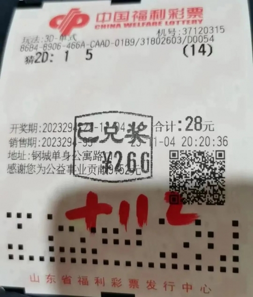 山东福利彩票网山东福利彩票网，福利彩票的权威平台