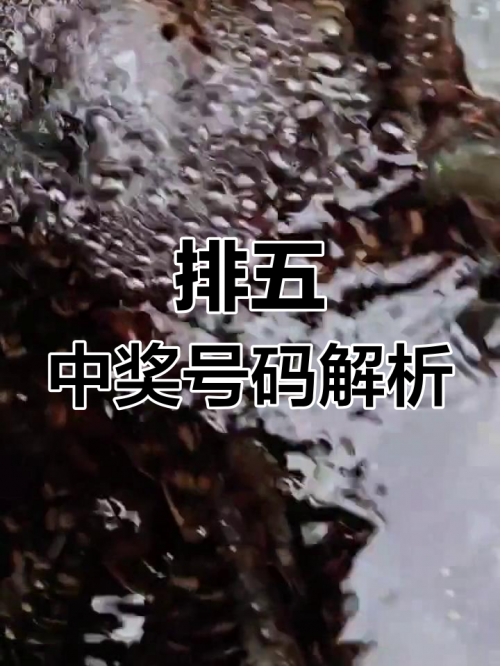 排列五今天的结果揭晓-第2张图片