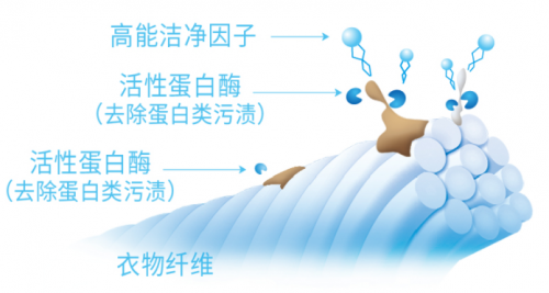 正版蓝月亮二四六精选，品质生活的选择-第1张图片