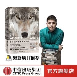 广西的狼精英主论坛广西狼精英主论坛，探索狼性精神的卓越之地-第3张图片