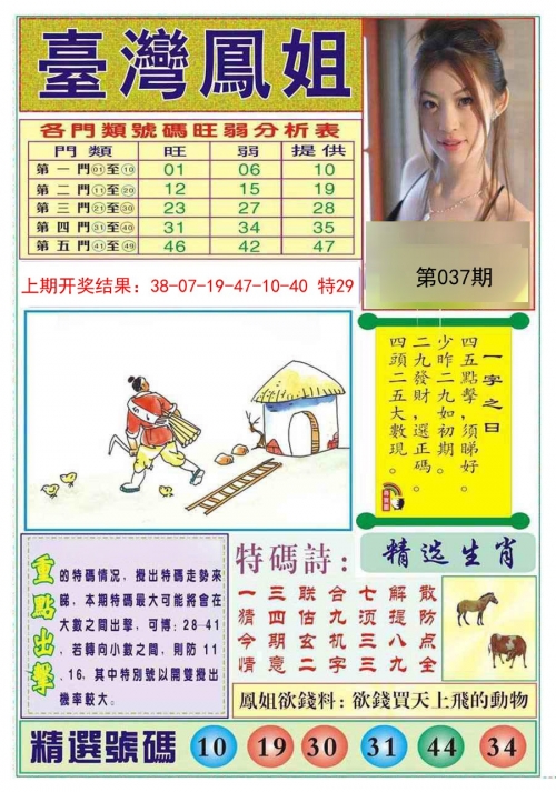 澳门一码一肖，神秘之谜与四不像现象-第2张图片