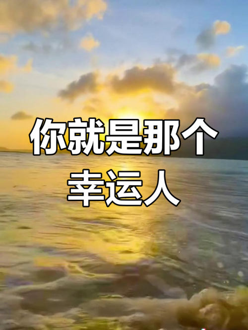 豆豆网幸运28豆豆网幸运28，开启幸运之门
