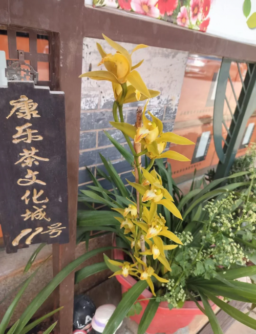 中国茶城在线，探索茶叶文化的线上新纪元