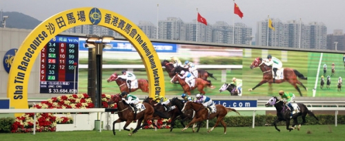 香港马会内部免费资源介绍-第1张图片