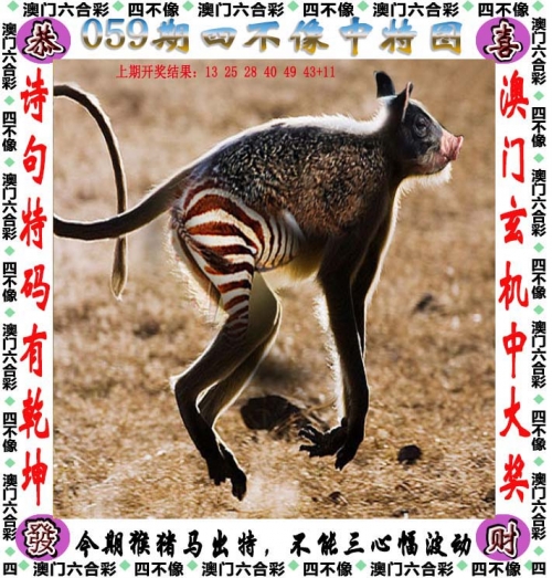 2019香港马开奖记录与结果揭秘-第3张图片