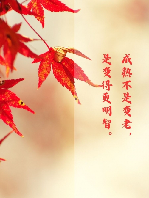 东方心经a东方心经A，探寻内心的智慧与力量