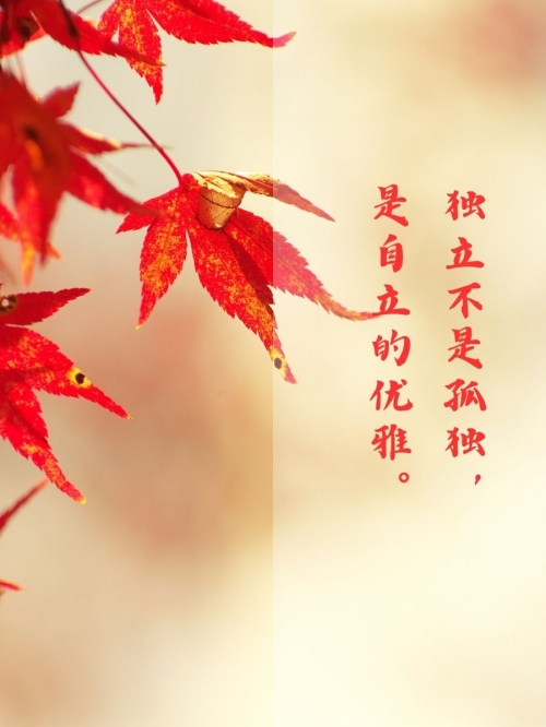 东方心经a东方心经A，探寻内心的智慧与力量-第2张图片
