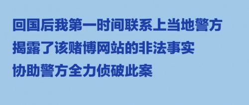 博彩资讯网，揭秘最新博彩动态