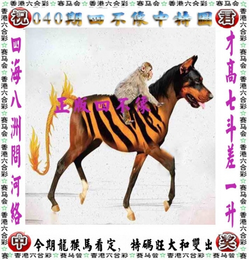 今晚开什么码今晚开什么码？揭晓今晚的精彩赌局-第1张图片