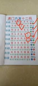 香港今期开奖结果回顾-第2张图片