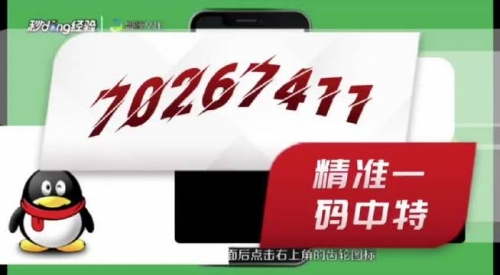 管家婆必出一肖一码一中一特管家婆必出一肖一码一中一特，神秘预测与科技革新