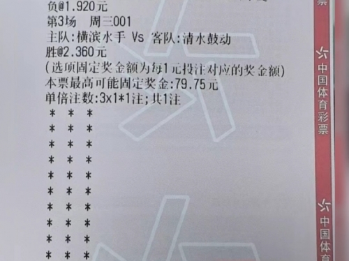 中国竞彩比分500中国竞彩，探索彩市新篇章-第2张图片