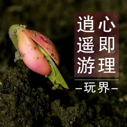 熊猫人安卓下载熊猫人下载，探索数字时代的文化新宠-第1张图片