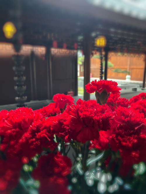 红姐论坛大众网红姐论坛，探索网络交流的新天地-第2张图片