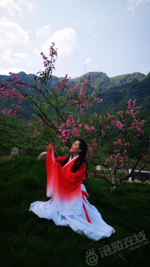 红姐论坛大众网红姐论坛，探索网络交流的新天地-第3张图片
