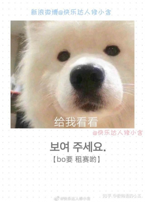 一搜有韩语一搜有，探索智能搜索的无限可能