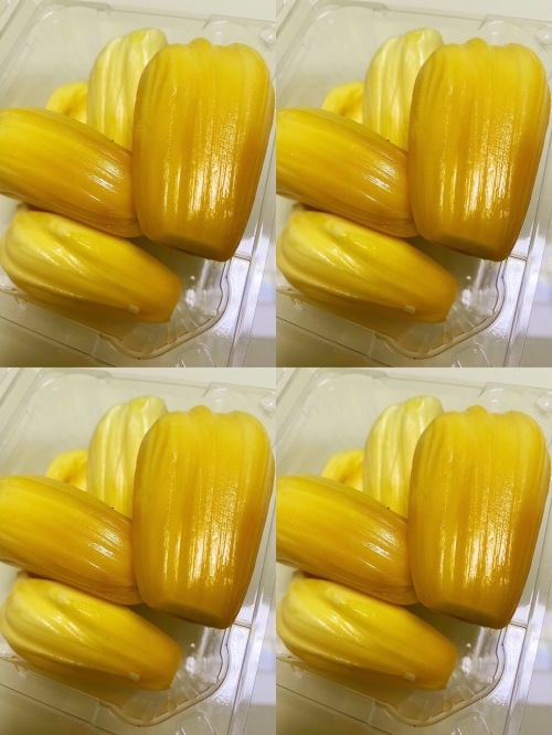 菠萝菠萝蜜手机版菠萝菠萝蜜手机网，探索科技新世界