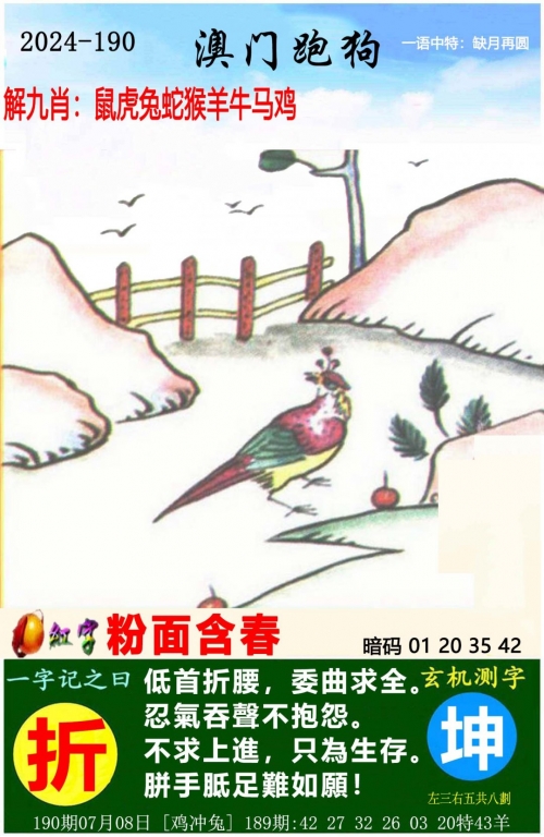 管家婆一肖一码100正确解析-第2张图片