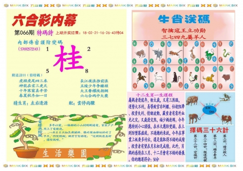 新澳门一码一肖一特一中新澳门，一码一肖一特一中心的探索与展望