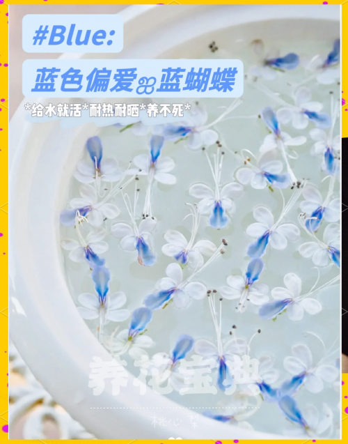 蝴蝶梦仙阁权威论坛蝴蝶梦仙阁，梦幻之旅的仙境-第2张图片