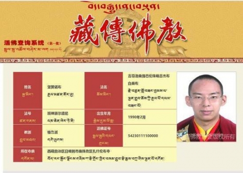 老衲法号搞笑名字老衲法号，修行之路