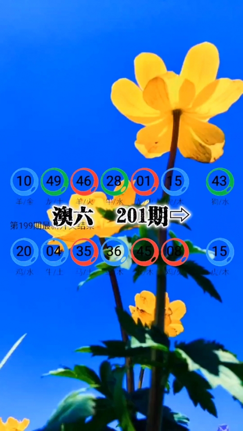 新澳精准资料免费提供510期新澳精准资料免费提供510期