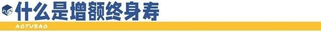 盈乐乐盈乐乐，快乐与智慧的融合-第2张图片