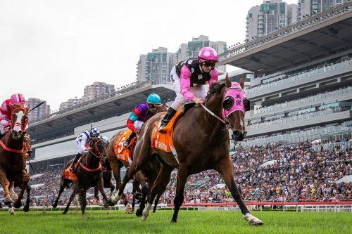 2020今晚已开特马+开奖结果最新今晚2020已开特马-第1张图片
