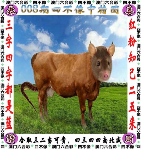 二四六玄机精选大资料四不像二四六玄机精选大资料-第3张图片