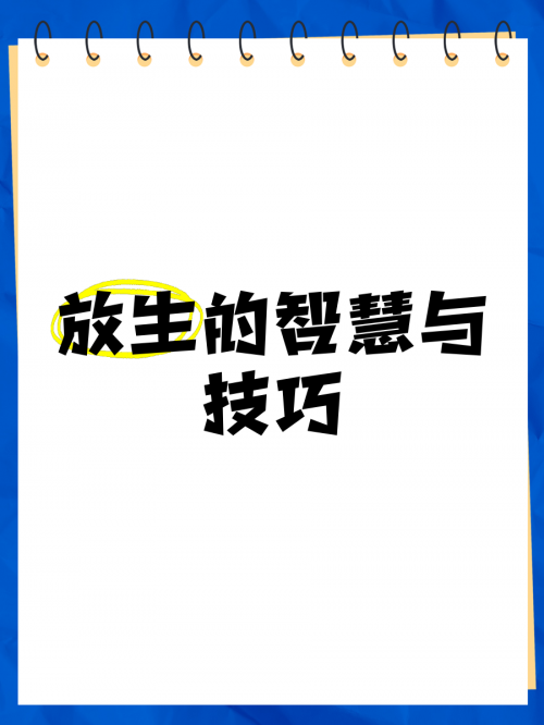铁算盘高手论坛，智慧与技艺的交流平台
