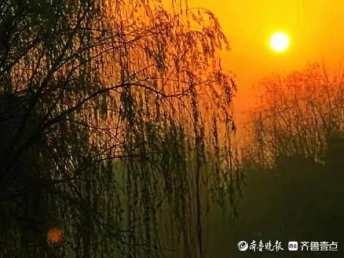 红太阳心水红太阳心水，探寻内心的光芒-第1张图片