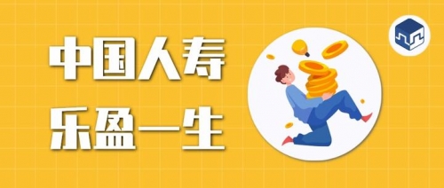 盈乐乐盈乐乐，快乐与智慧的融合