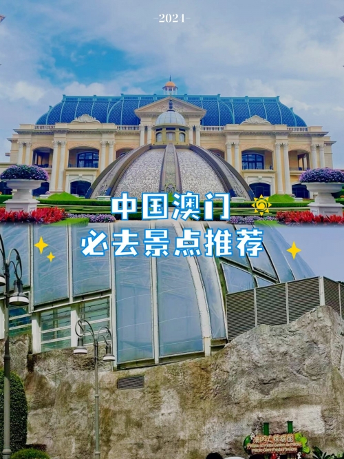 澳门之夜，2024今晚的璀璨星辰-第2张图片