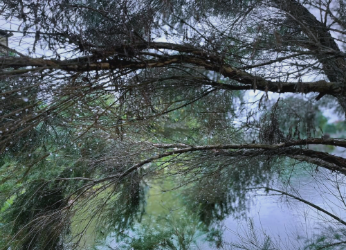 广东温泉自驾游广东温泉自驾游攻略