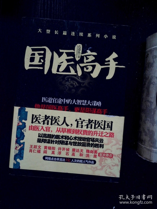 医道官途 顶点医道官途顶点，探寻医道巅峰之路-第3张图片