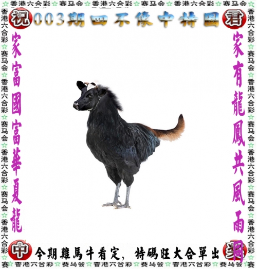 管家婆六肖中特网，神秘与实用的数字世界-第2张图片