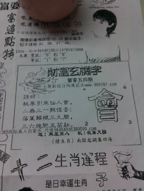 今日特马，探索与发现