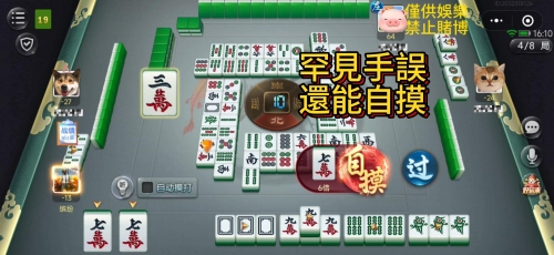 买马资料买马资料，策略与技巧