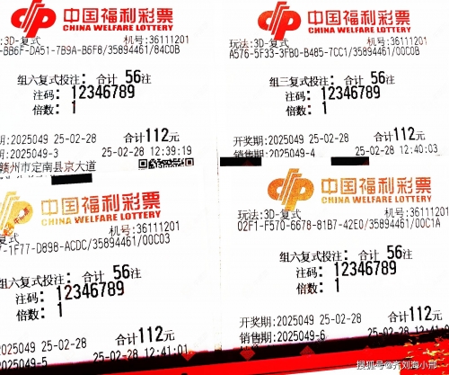 一肖一码100%中一肖一码100%中，揭秘彩票预测与游戏规则