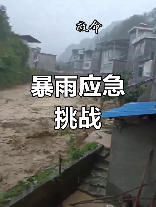上海特大暴雨上海特大暴雨，暴雨肆虐下的城市挑战