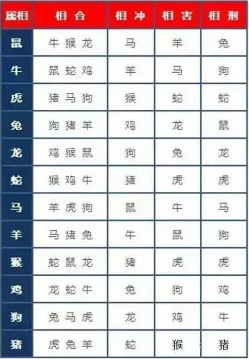二八追求五迟疑是什么生肖和数字二八追求五迟疑是什么生肖-第3张图片