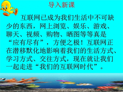 精鹰网精鹰网，网络信息时代的新篇章