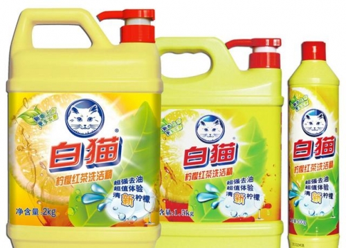 白猫图库侯机会是什么生肖白猫图库，探索数字时代的艺术宝库