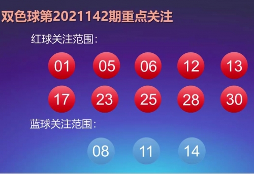 彩坛乐彩论坛专家预测彩龙论坛，探索网络交流的新天地