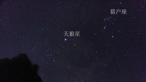 天狼星官网，探索星辰奥秘的权威平台